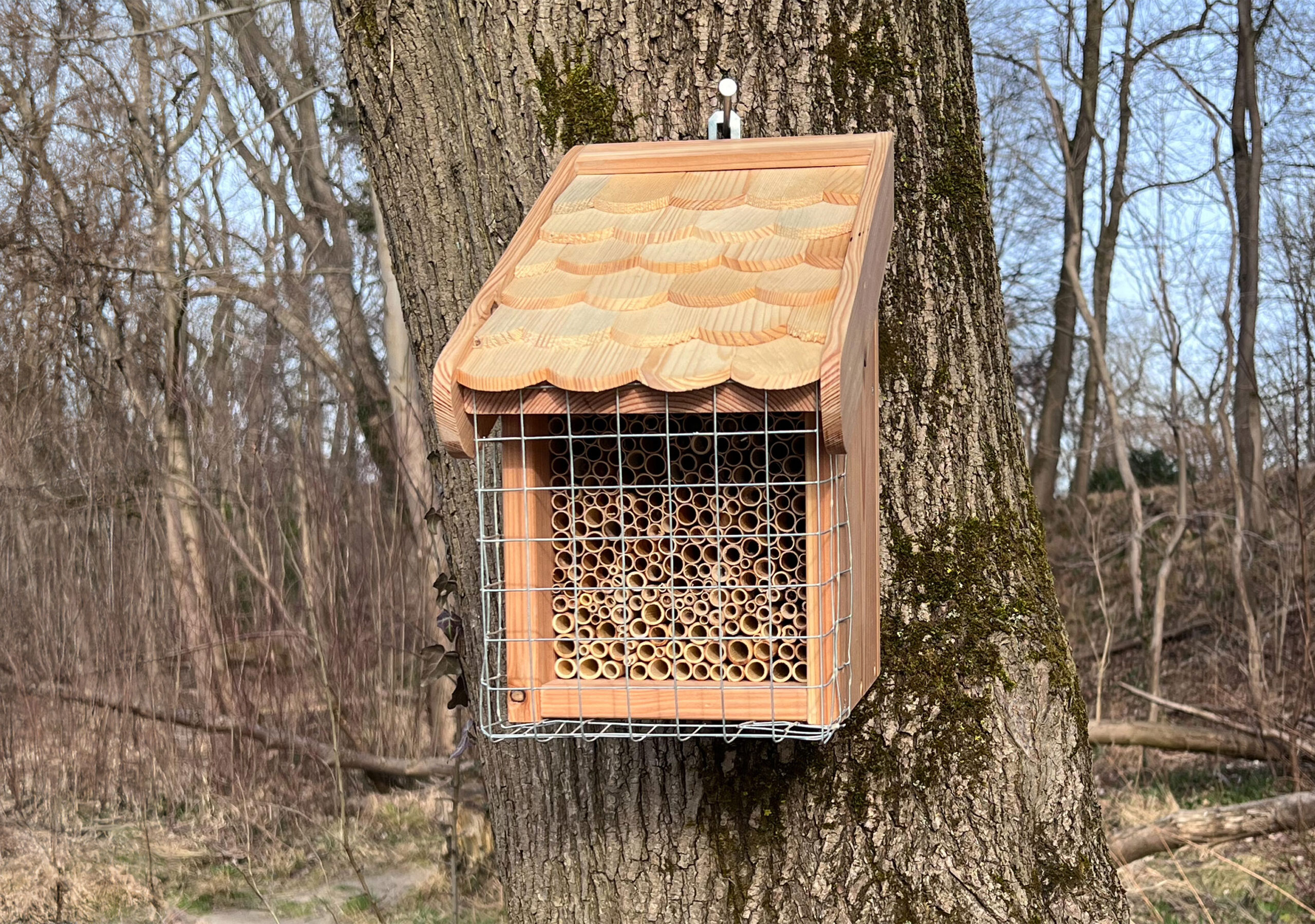 Wildbienenhütte
